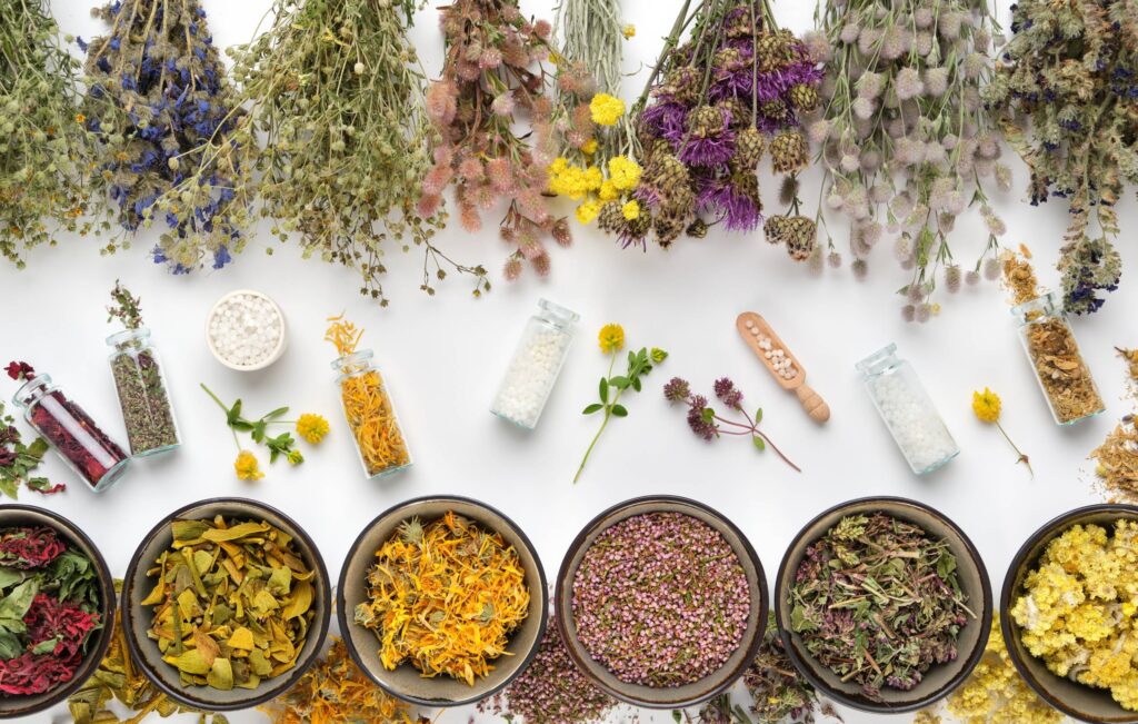 Médicament traditionnel