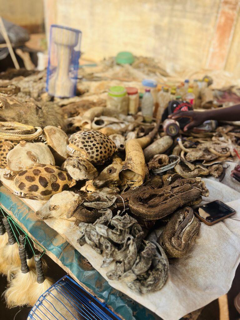 Retour de l'Être Aimé en France